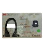 Buy Canada Permanent Resident Card
