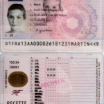Permis de Conduire France Acheter