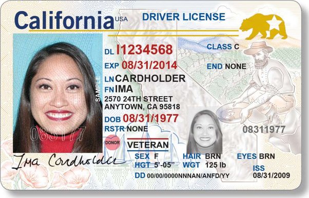 Californian sample drivers license c. 2019 | fake document generator online