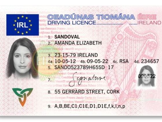 Irish Drivers License | fake document generator online